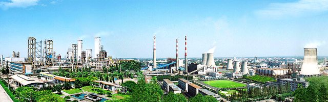 P . 山東陽煤恒通化工股份