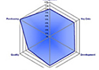 合格供應(yīng)商評(píng)審