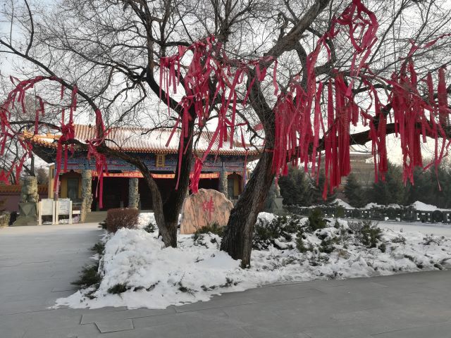 G . 黑龍江大慶果成寺-2